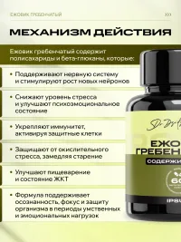 Ежовик гребенчатый ИПСУМ / IPSUM Lions Mane / Hericium erinaceus 60 капсул, поддержка концентрации и памяти, 60 капсул