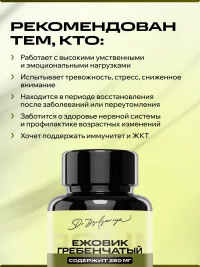 Ежовик гребенчатый ИПСУМ / IPSUM Lions Mane / Hericium erinaceus 60 капсул, поддержка концентрации и памяти, 60 капсул