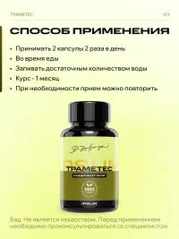 Гриб Траметес IPSUM источник бета глюканов, капсулы Trametes IPSUM, антиоксиданты, 120 капсул