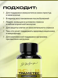 Гриб Траметес IPSUM источник бета глюканов, капсулы Trametes IPSUM, антиоксиданты, 120 капсул