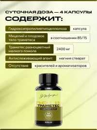 Гриб Траметес IPSUM источник бета глюканов, капсулы Trametes IPSUM, антиоксиданты, 120 капсул