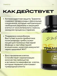 Гриб Траметес IPSUM источник бета глюканов, капсулы Trametes IPSUM, антиоксиданты, 120 капсул