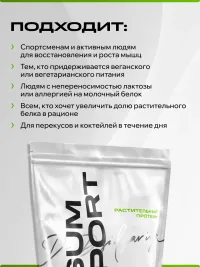 Растительный протеин IPSUM 450 гр для наращивания мышц, восстановления и сил, вкус шоколад