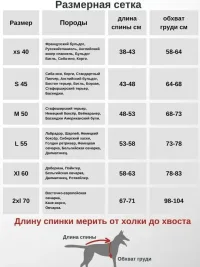 Демисезонный комбинезон для собак средних и крупных пород