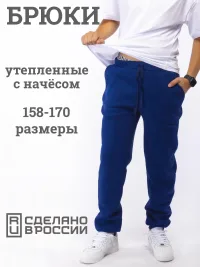 Брюки спортивные утепленные с начесом