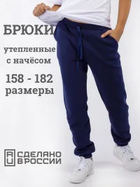 Брюки спортивные утепленные с начесом